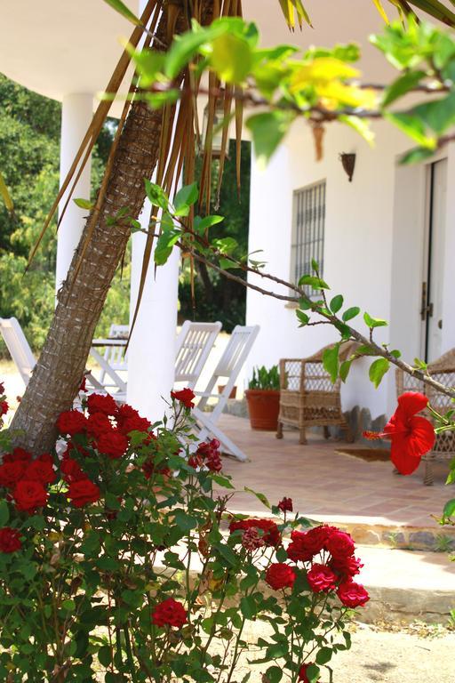 Casa El Soto Villa Вехер де ла Фронтера Екстериор снимка